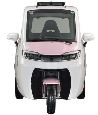 China Passenger ELION A1 Pure Electric 3 Wheel Mini Tricycle Cabin Micro Electric Scooter With EEC Certification for sale