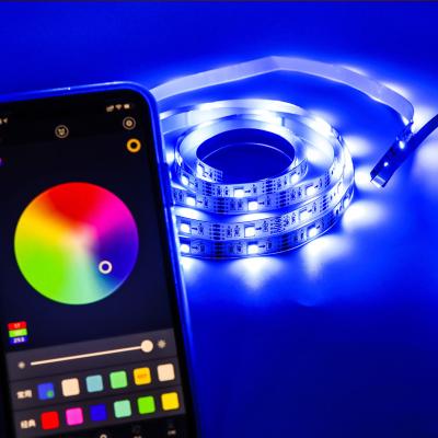 China Residential Accessible Smart APP Control LED Strip Lights 5V 5050 RGB Flexible USB LED Strip Rope Light For Kitchen Room Decor for sale