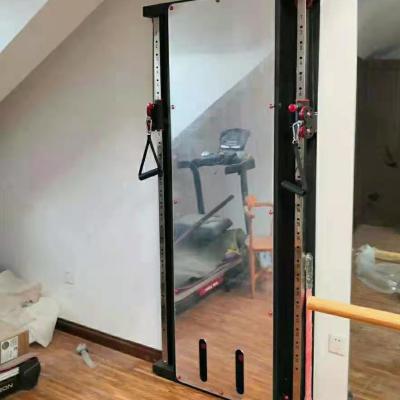 China Home Use Adjustable Multi Functional Trainer With Mirror Gym Equipment Full Moment Stop Wall Mounted Slip In Gym Club And Home Use for sale