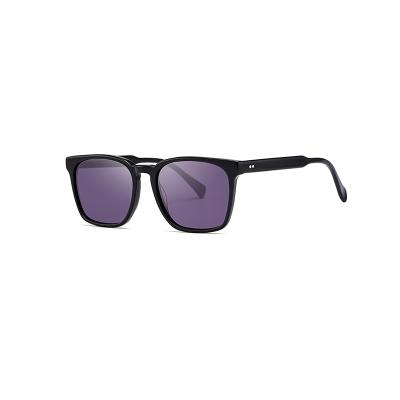 China New fashion sunglasses trend high quality unique black acetate sunglasses wholesale for sale