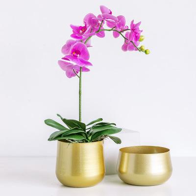 China Modern creative light luxury metal gold decorative floral organ wrought iron vase container festival butterfly orchid flower pots for sale