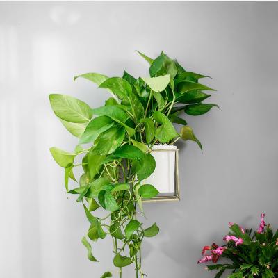 China White Wall Hanging Modern Creative Hanging Ceramic Flower Pot With Iron Stand For Living Room Office Desk for sale