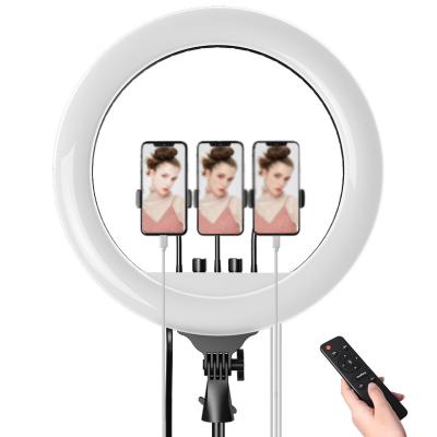 China Portable Alloy+ 18 Inch Ring Light RL18 Photo Studio Photography Aluminum Plastic Ring Light LED Video Light Good Selling for sale