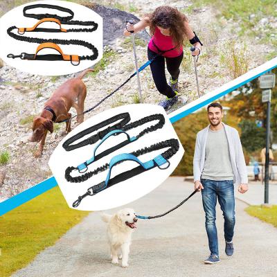 China Advance Pet Makers Double Elastic Reflective Running Portable Retractable Pet Leash for sale