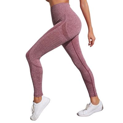 China 2021 breathable hotsale r gym/sports/yoga clothing for women american organic yoga clothing custom size logo for sale