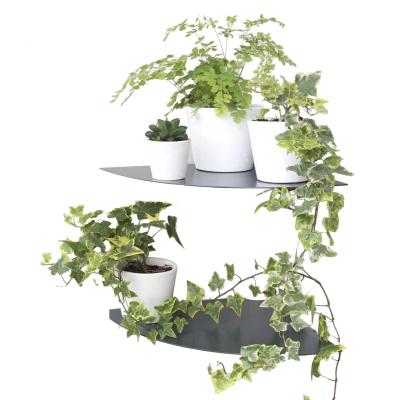 China Custom size welcome! Home Decoration Plant Shelf Wall Air-pots Steel Floating Planter Rack for sale