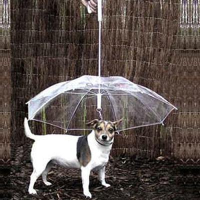 China Life Casual Dog Walking Waterproof Clear Cover Leash Rain Sleet Snow Sleet Pet Umbrella Integrated Pet Products for sale