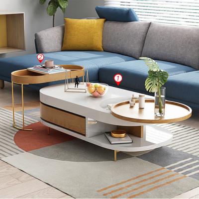 China OEM& ODM Multifunctional Oval Table Light Oval Pedestal Coffee Table Tea Table Complemented Luxury Marble Complemented Luxury Tea Table for sale