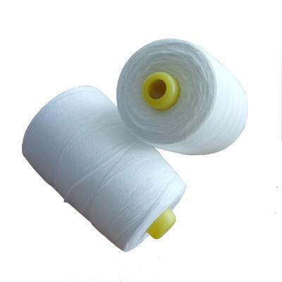 China Factory Price 100 Pc Polyester Waterproof Yarn Invisible Nylon Thread Bag Closing Yarn 1000m for sale