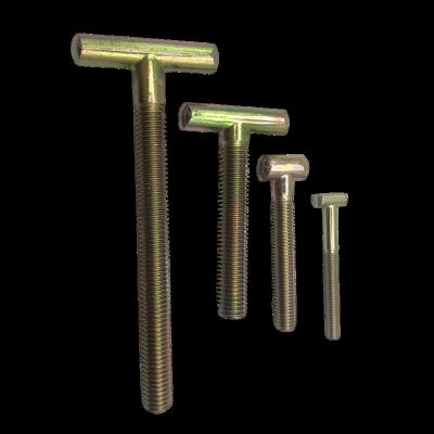 China Stainless Steel Stainless Steel T-bolt for sale