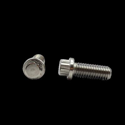 China Stainless steel 12 point flange bolt for hardware for sale