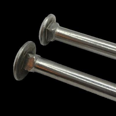 China Round Head Stainless Steel Square Neck Bolt for sale