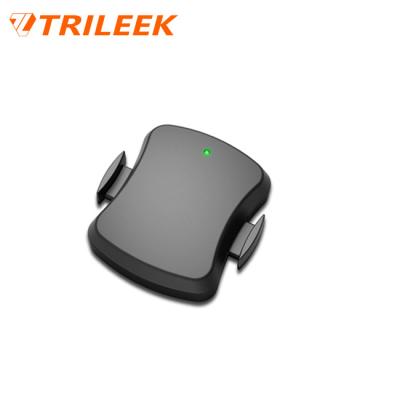 China Ride Speed ​​Trileek Smart Sports Blue Tooth Ant Speed ​​Cadence Sensor for IOS and Android for sale