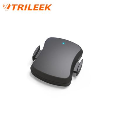 China Trileek GPS Bike Computer Bicycle Ant Speed ​​Lap Speed ​​and Cadence Sensor for Smart Sports for sale