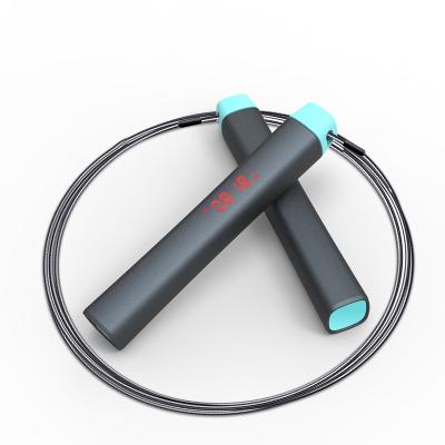 China Smart Fitness Indoor ABS Counter PVC Steel Rope Digital Jump Rope for sale