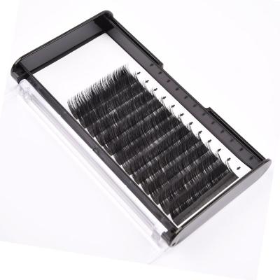 China Wholesale 3d Individual Eyelash Extension Natural Soft Warm Silk Korean Eyelash Extensions for sale