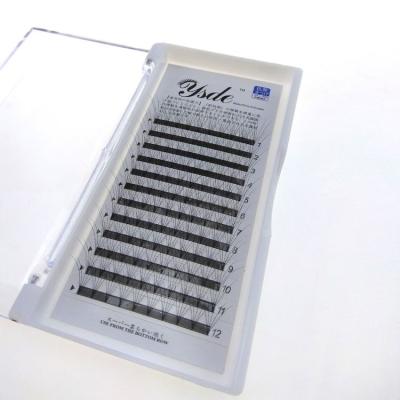 China Best Selling Super Natural Soft Russia False 2d-20d Pre Made Fans Volume Eyelash Extension for sale