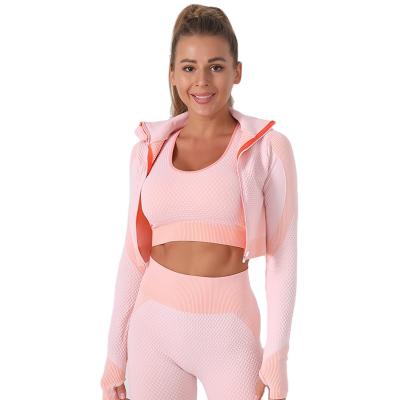 China Yoga Exercise Suit Antibacterial Seamless Zipper Top, High Intensity Quick-drying For Women for sale