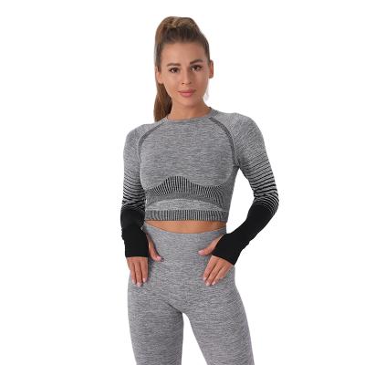 China Fitness Yoga Antibacterial Seamless Wear For Women Stripe Gradient Wear Long Sleeve Blazer Crop Regular Wear for sale