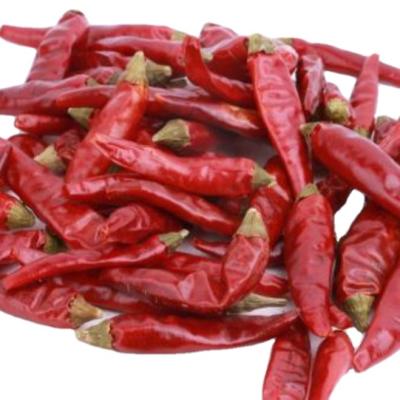 China Food Best Selling Dried Whole Chili By Quality for sale