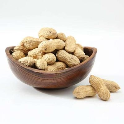 China Natural Low-sodium Nutrition Gluten Cholesterol Free No GMO Minerals Healthy Vitamins Wholesale Milk Snacks Flavor Roasted Shell Peanuts for sale