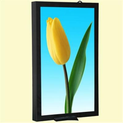 China Ultra - Thin WIFI Digital Signage 32 inch H.264 H.263 USB2.0 for banks for sale