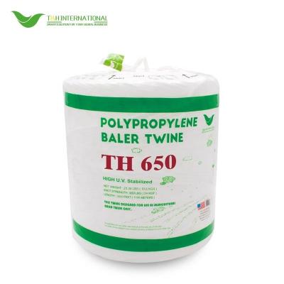 China For Agriculture baling 100% polypropylene,competitive price, strong baler twine for sale