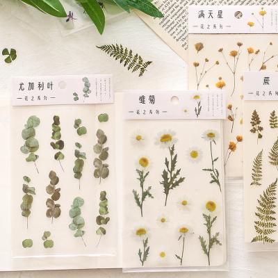 China Cute Natural PVC Sticker Plant Flowers Transparent PET Material Leaves Deco Stickers For Diary Diary Scrapbook for sale