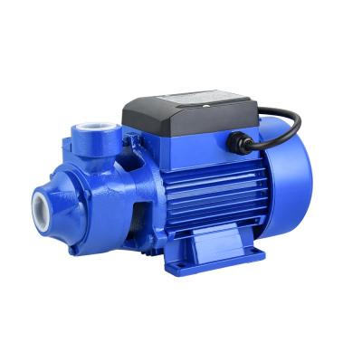 China Water pump for family houses DKm80-1 qb80 for sale