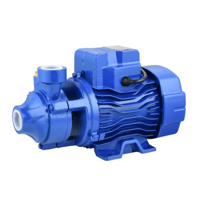 China Garden Family Houses Mini Peripheral Water Pump Electric Water Pump Motor Price for sale