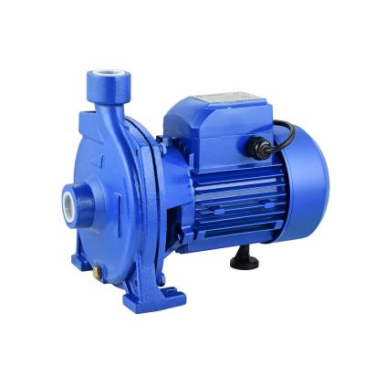 China Family Homes Dayuan Direct Sale 0.5hp DCm Micro Electric Water Pumps Centrifugal Water Pumps for sale