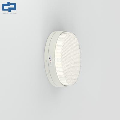 China 300mm Round Ceiling Light Fixture Low Bay Circle Ceiling Light 240V for sale