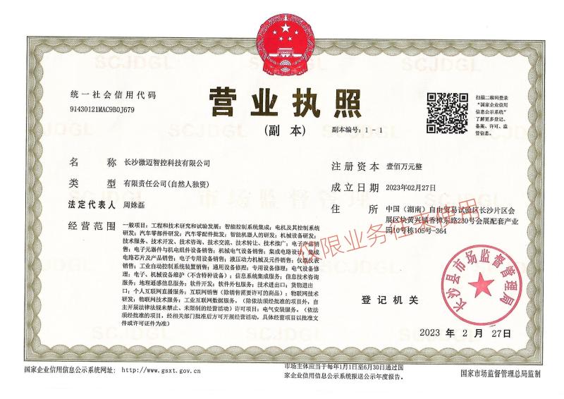 Registration Certificate - Changsha V-Mind Technology Co.,Ltd