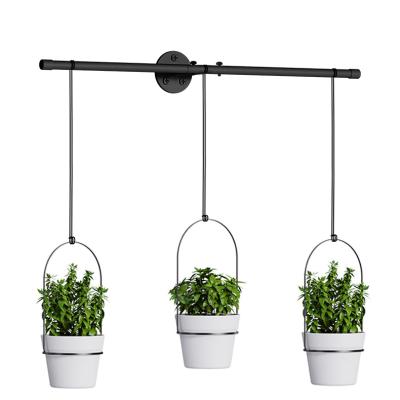 China Best Modern Durable Plastic Planter Hanging Wall Basket Planter Pot White Unique Planters Flower Pots For Indoor Plants for sale