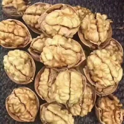 China China Dried Organic Thin-Lean Walnut in Shell and Walnut Kernels for sale