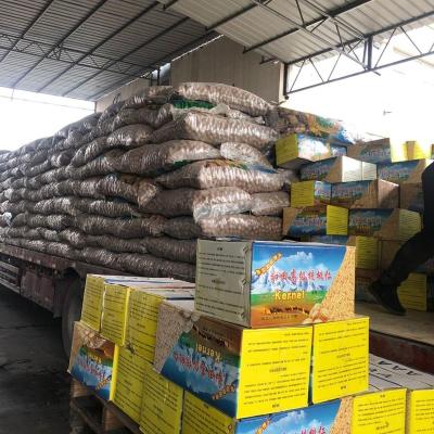 China 2019 best bulk price thin-skin dried shell 25kg green walnut wholesale for sale