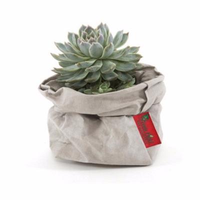 China Recyclable Stock Kraft Paper Plant Pot Flower Pot Eco - Friendly Washable Paper Bag for sale