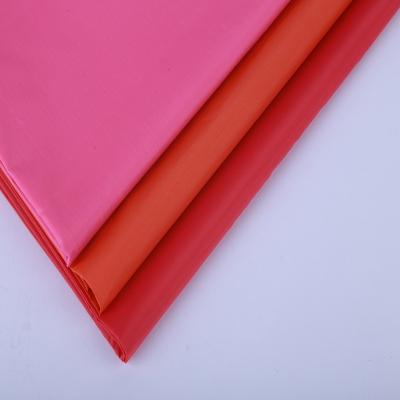 China Waterproof 2020 New 300t Outdoor Microfiber Windproo Winter Waterproof Windproof Fabric for sale