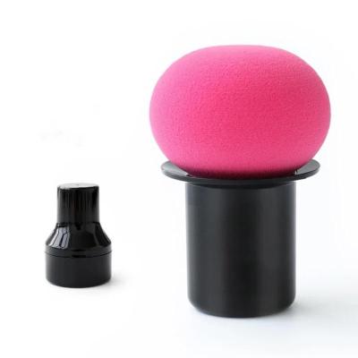 China Hot Sale Beauty Sponge Makeup Brush Set Washable Private Label Makeup Sponge Wholesale for sale