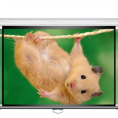 China Electric Home Wall Hanging Screen Tripod Projector Projection Fiberglass Cable Screen HE03 for sale