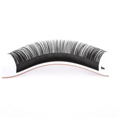 China Natural Soft Whips Individual Eyelash Extension Fans Silk Individual Eyelash Extension Wholesale Different Eyelash Extensions for sale