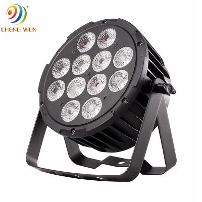 China 12pcs LED Par Light RGBW 4in1/5in1/6in1 Outdoor Waterproof IP65 DMX512 Stage Wash Light for sale