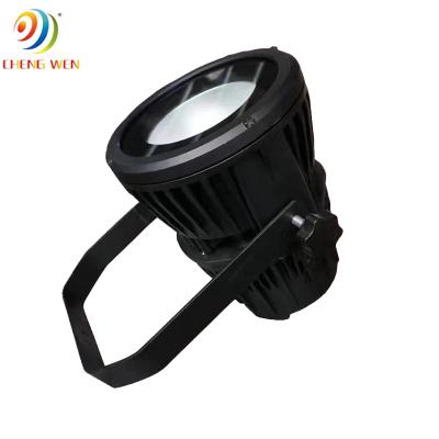 China Waterproof Warm White COB Par Cool White Light Stage/Theme Park 100W 2in1/RGB 3in1 Lighting DMX 512 For Outdoor for sale