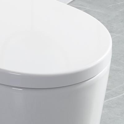 China Dual-Flush HILITE  Toilet Best Selling 1 Piece Dual Flush Rimless High Quality 300mm Factory Price Strap Siphonic White Ceramic for sale