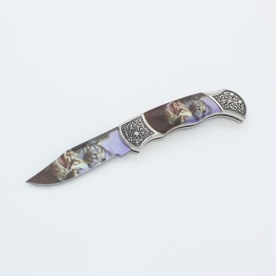 China Outdoor Knife 3D Pattern Printing Stainless Steel Fancy Folding Pocket Knife for sale