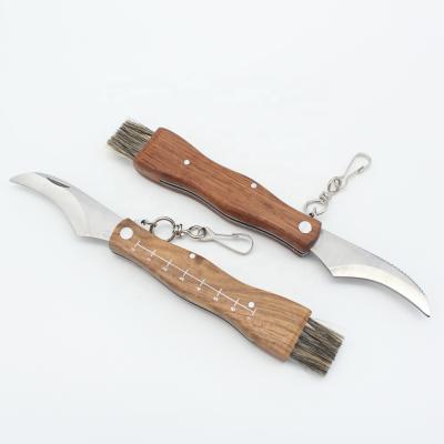 China Non-variable Camping Wooden Handle Folding Mushroom Knife With Brush Key Chain for sale