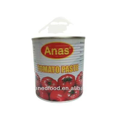 China Bulk Supplier Tomato Sauce Tin 800gX12tins 800gx12tins/ctn for sale