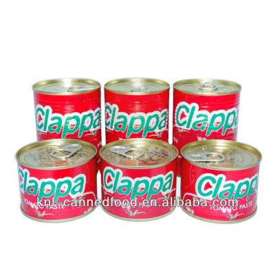 China Optional Packing Tomato Sauce Manufacturers USA 400gx24tins 400gx24tins/ctn for sale