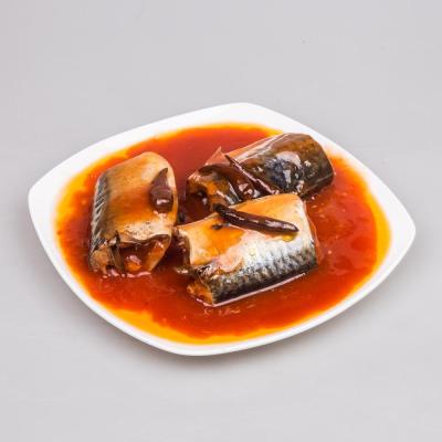 China China low sugar factory direct tin mackerel in tomato sauce hot sale in Ghana for sale