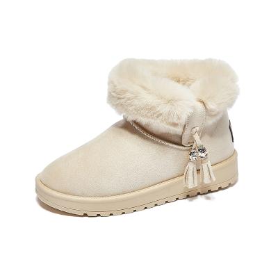 China Wholesale Fashion Trend 2021 New Design Winter Warm Outdoor Ankle Plush Anti-skid Women Snow Boots for sale